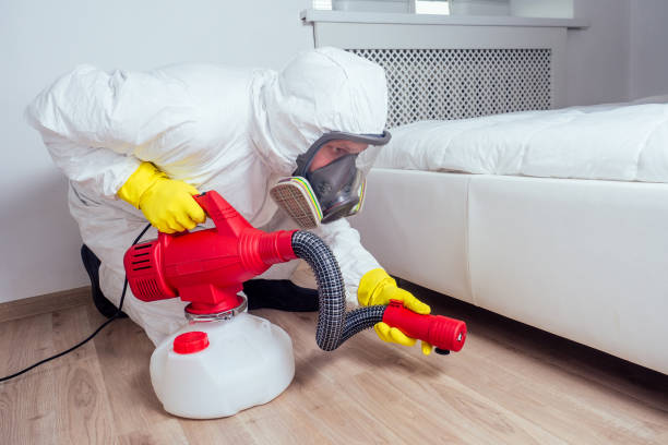 Best Pest Prevention Services  in North Bay Shore, NY